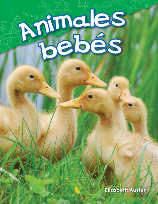 Vorderes Coverbild Animales Bebés