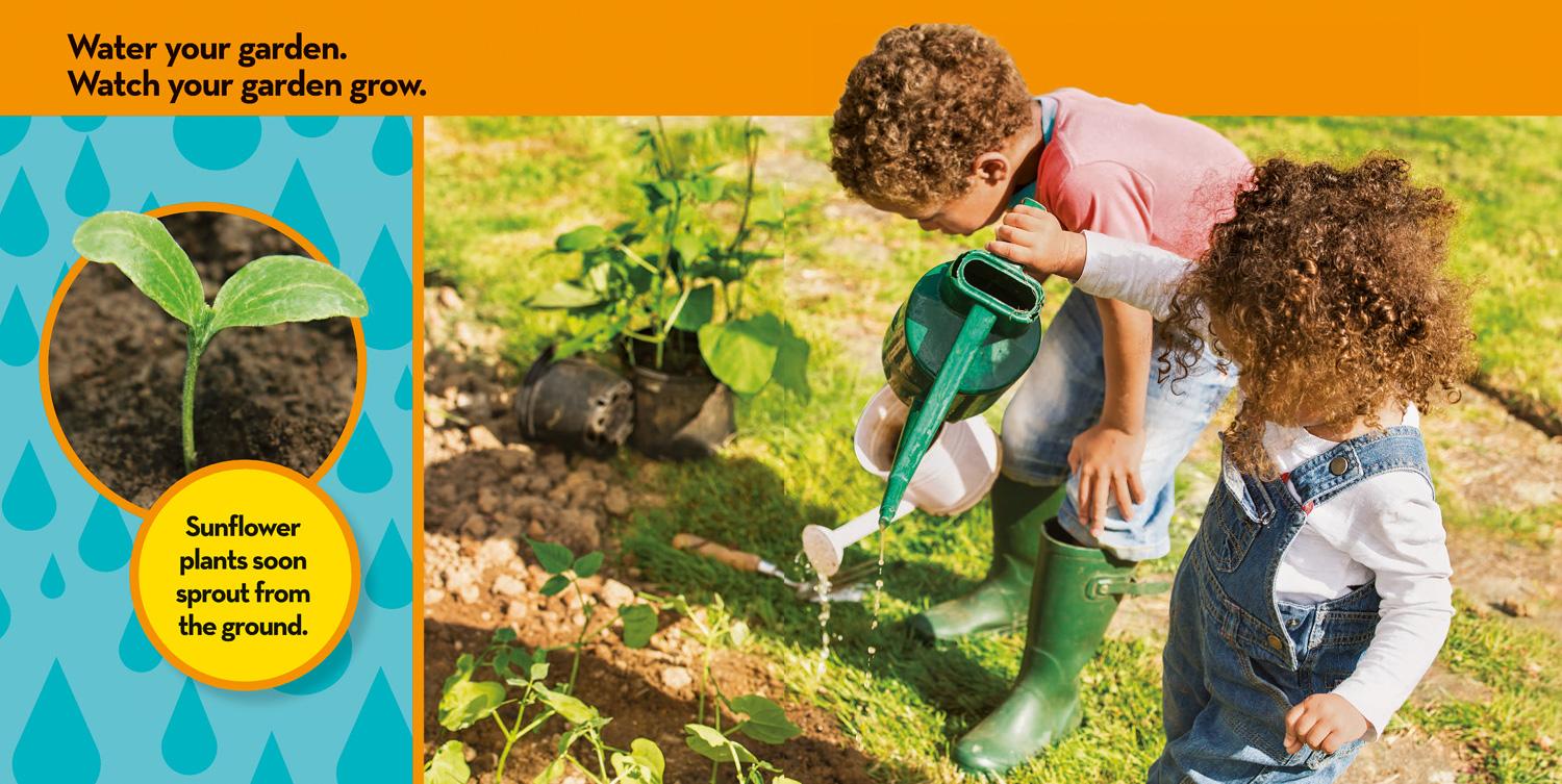 Beispielinhalt (Bild) National Geographic Kids Look & Learn: In My Garden