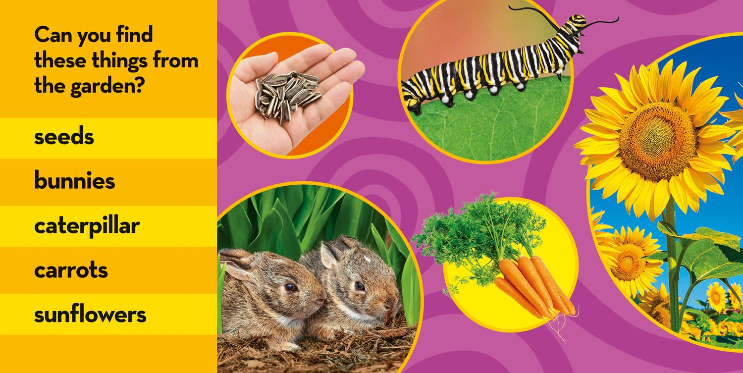 Beispielinhalt (Bild) National Geographic Kids Look & Learn: In My Garden