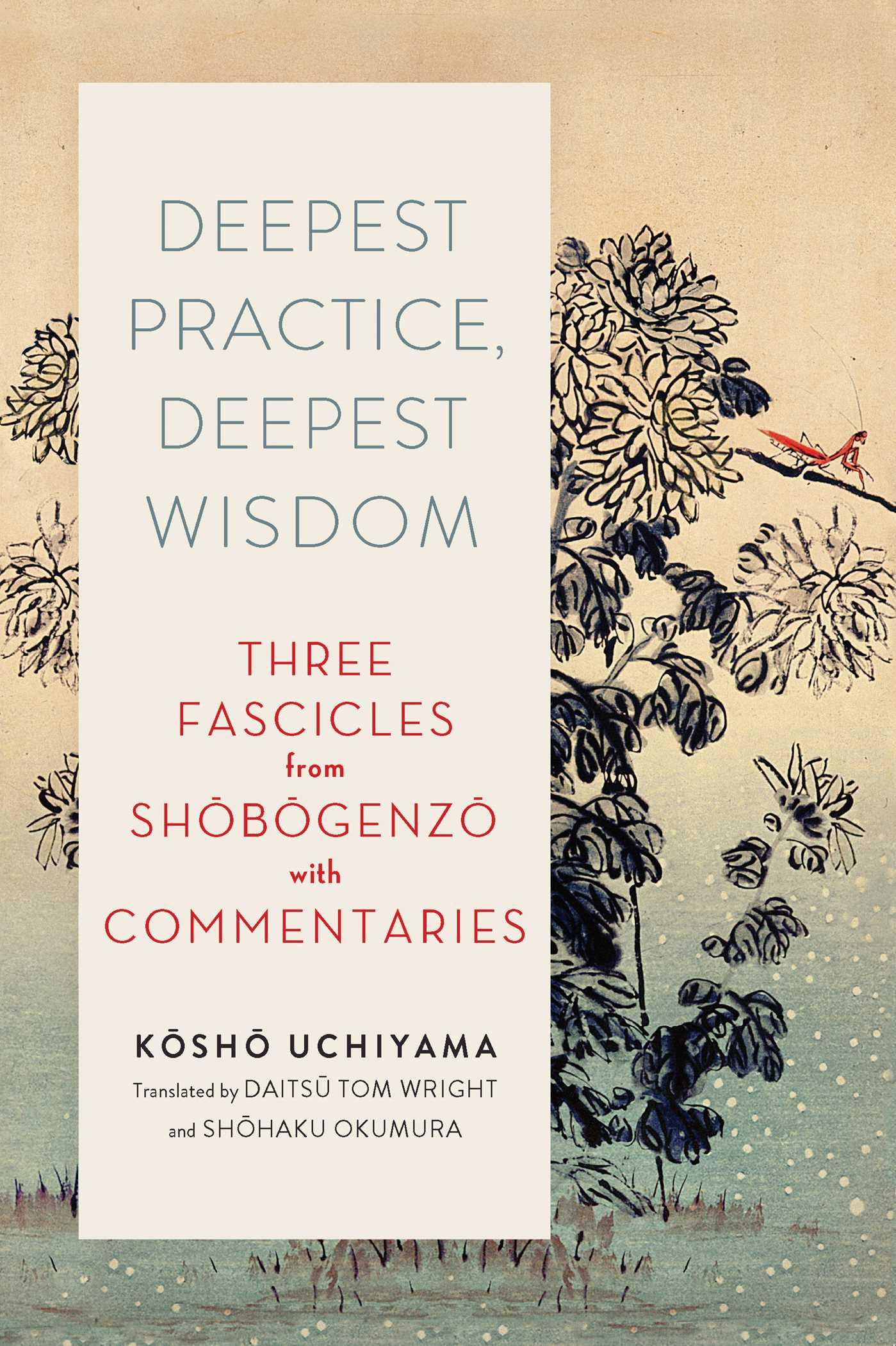 Vorderes Coverbild Deepest Practice, Deepest Wisdom