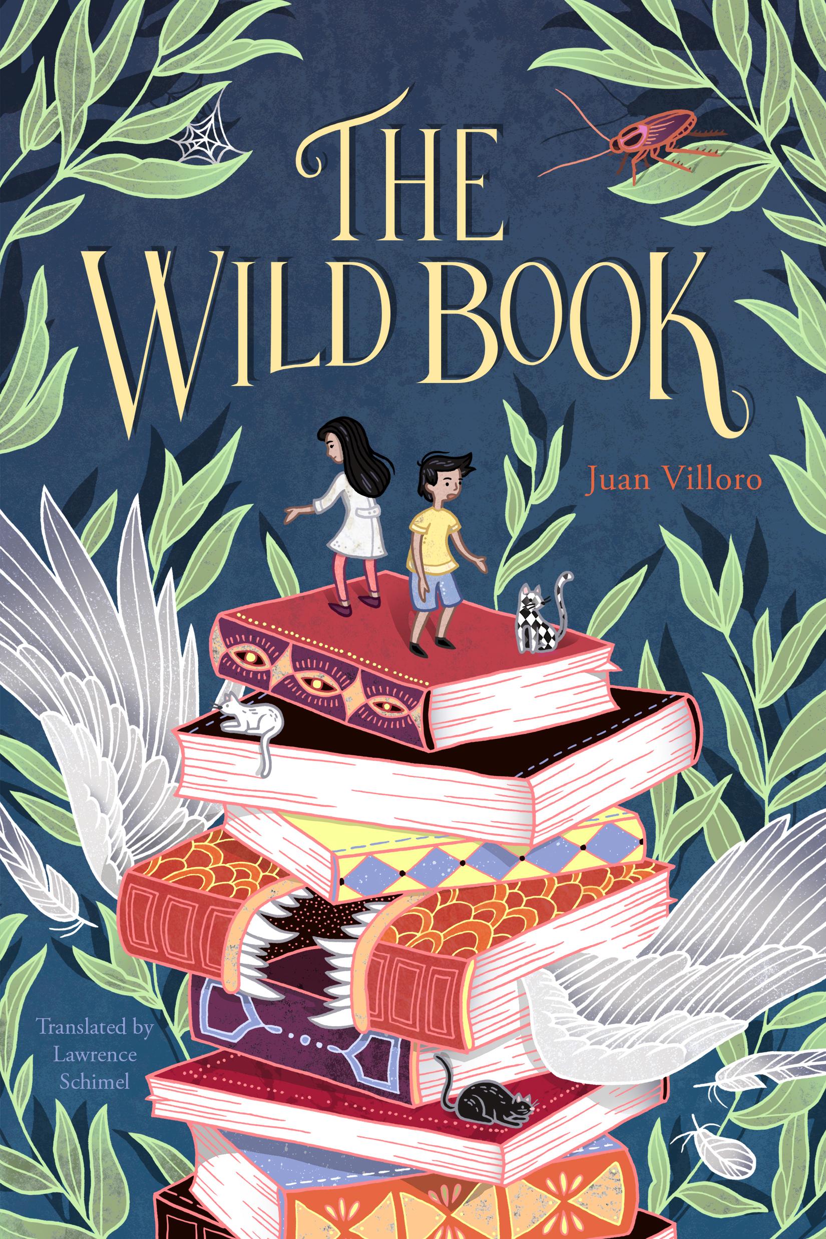 Vorderes Coverbild The Wild Book