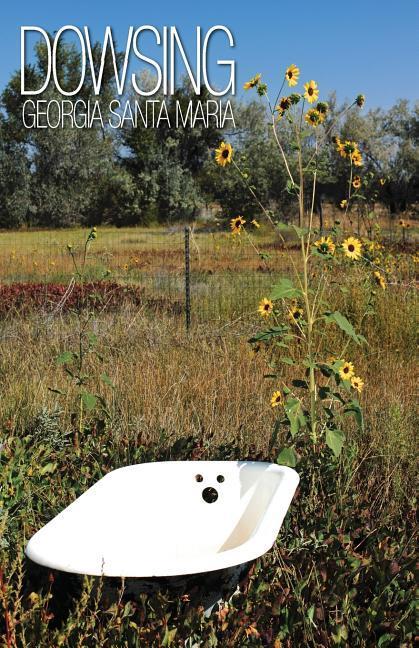 Vorderes Coverbild Dowsing