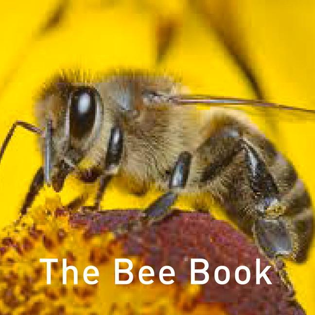 Vorderes Coverbild The Bee Book
