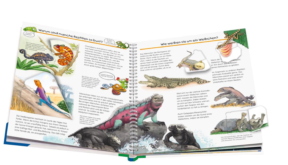 Beispielinhalt (Bild) Wieso? Weshalb? Warum?, Band 64: Alles über Reptilien