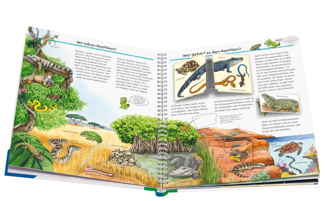 Beispielinhalt (Bild) Wieso? Weshalb? Warum?, Band 64: Alles über Reptilien