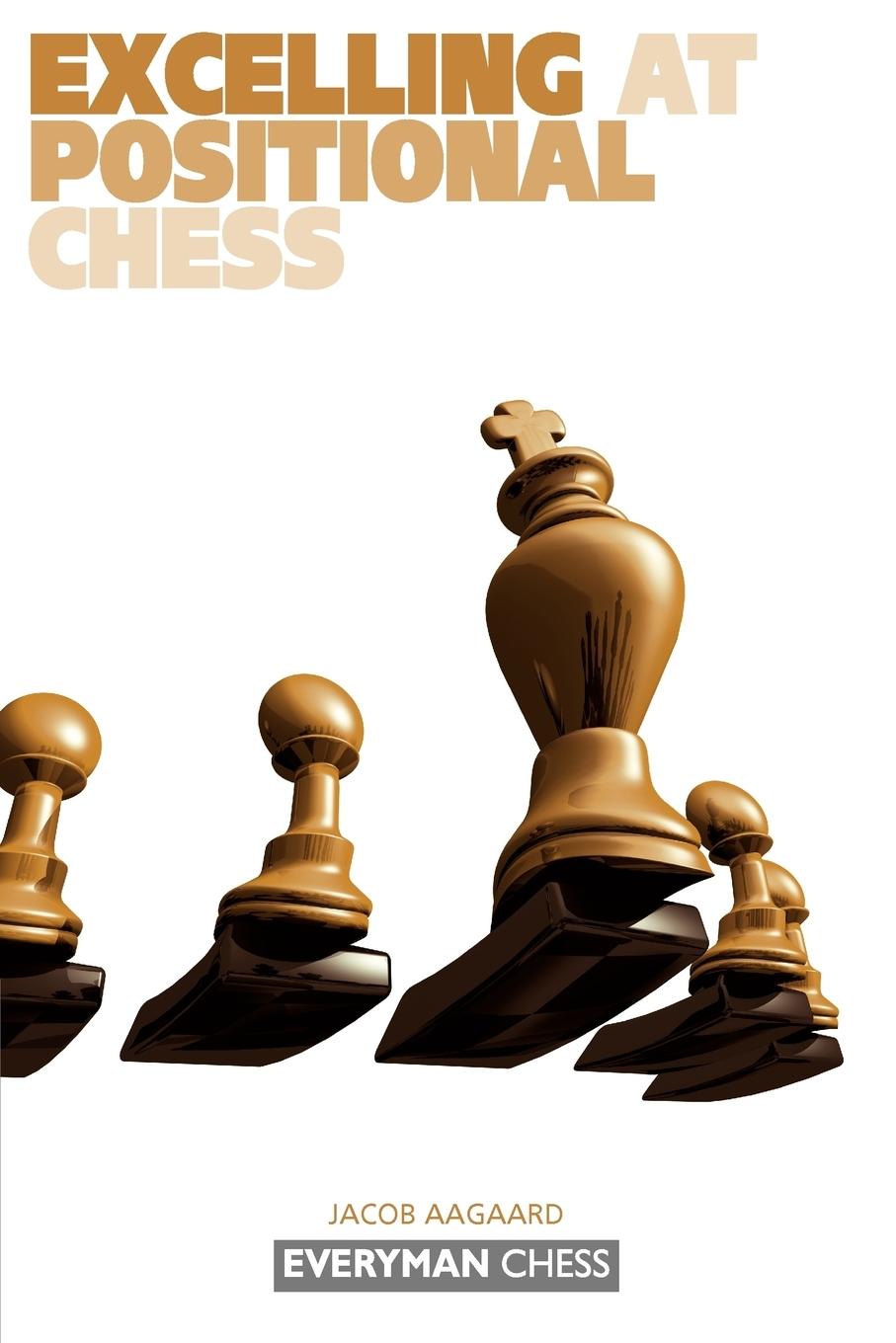 Vorderes Coverbild Excelling at Positional Chess