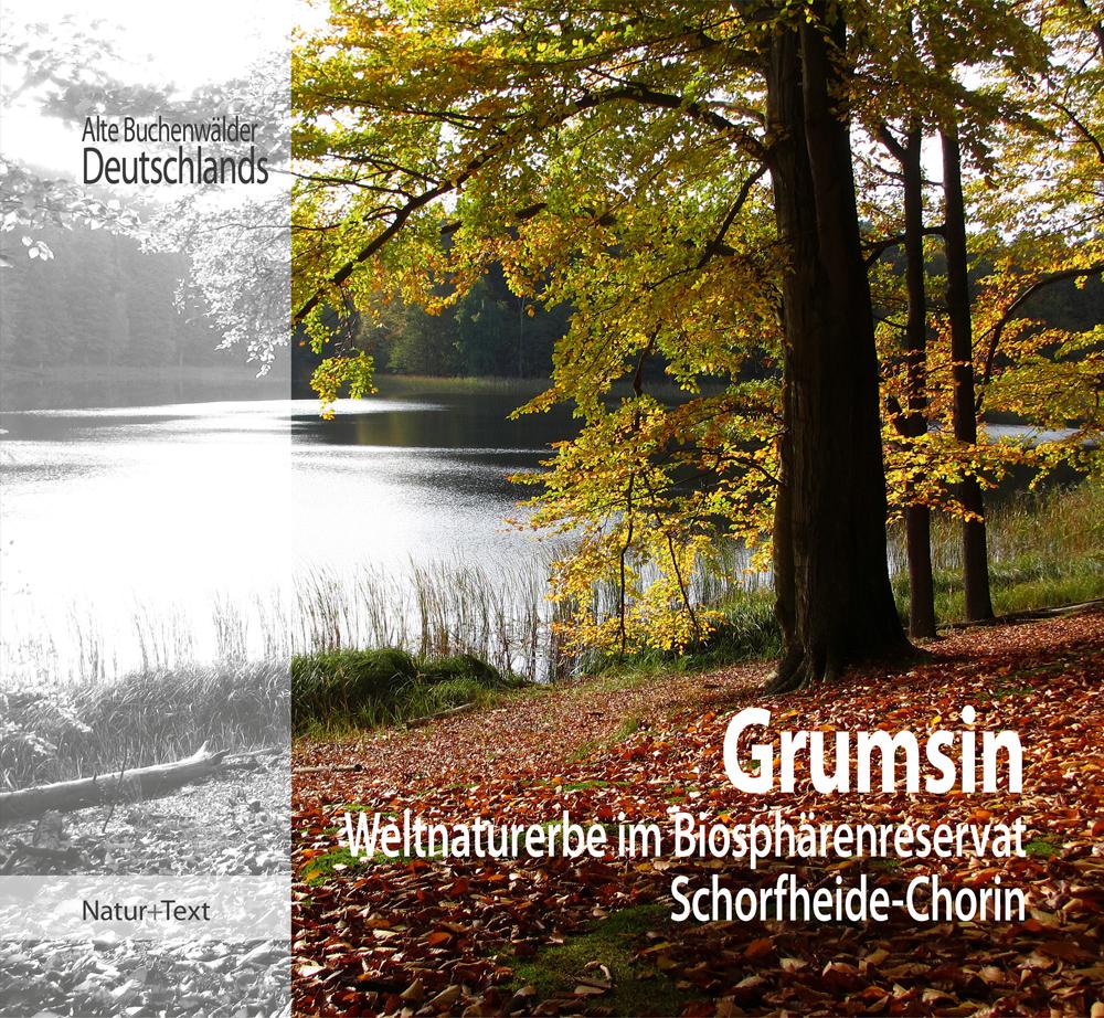 Vorderes Coverbild Grumsin