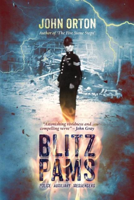 Vorderes Coverbild Blitz PAMs