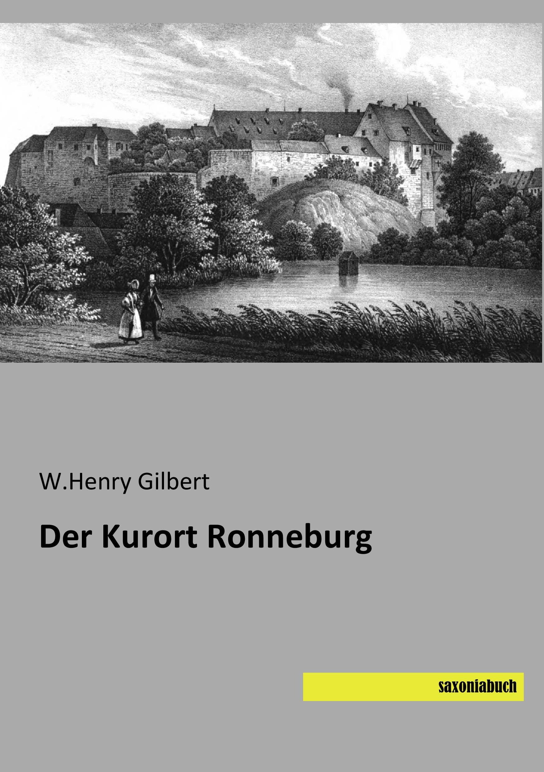 Vorderes Coverbild Der Kurort Ronneburg