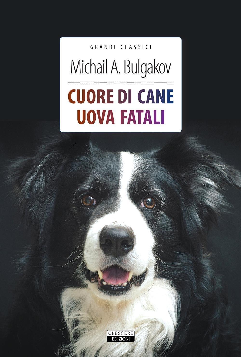 Vorderes Coverbild Cuore di cane-Uova fatali
