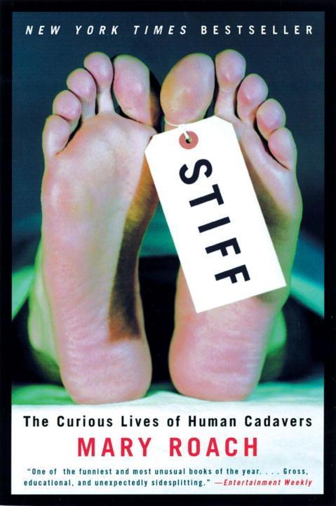 Vorderes Coverbild Stiff