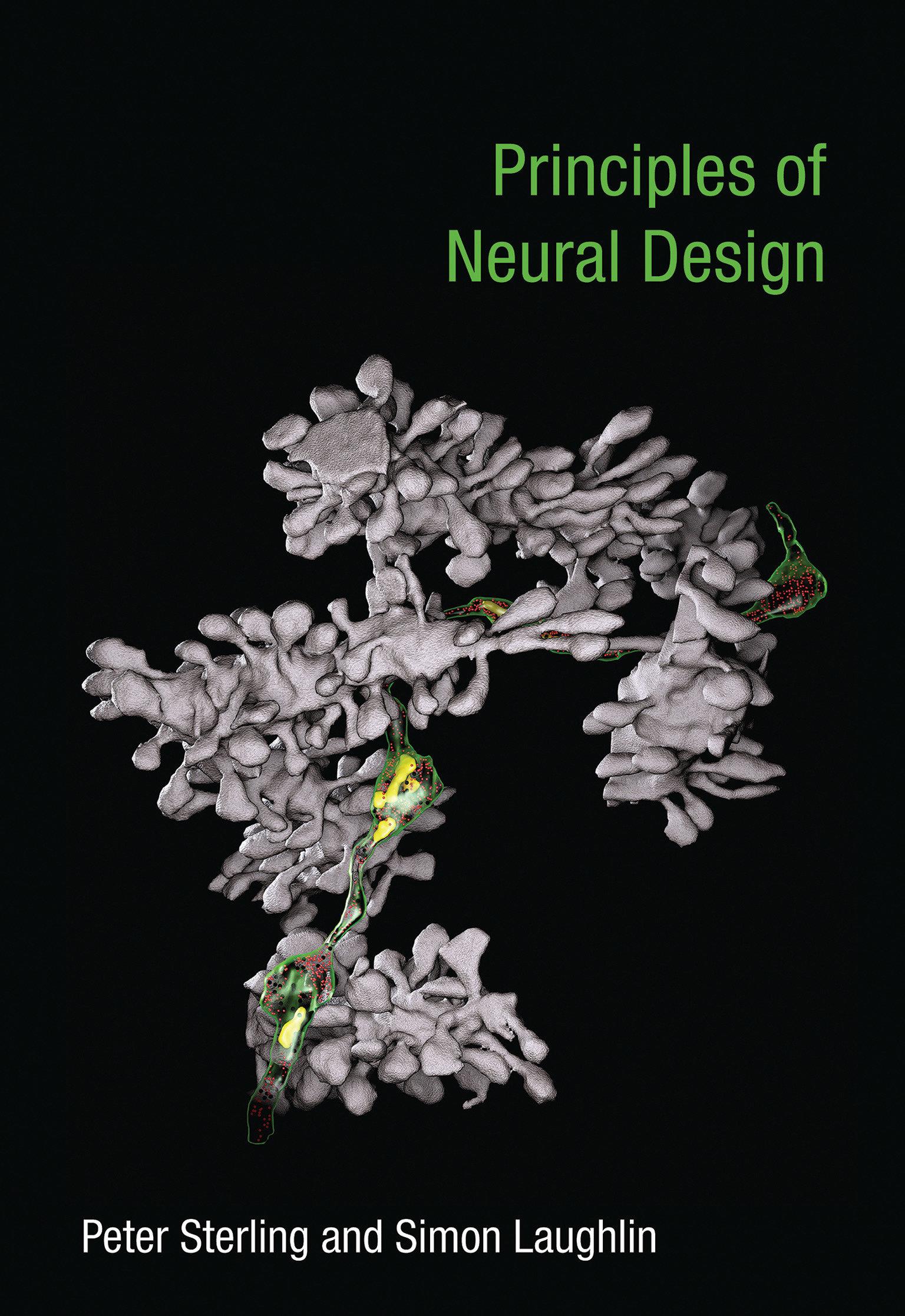 Vorderes Coverbild Principles of Neural Design