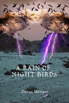 Vorderes Coverbild A Rain of Night Birds