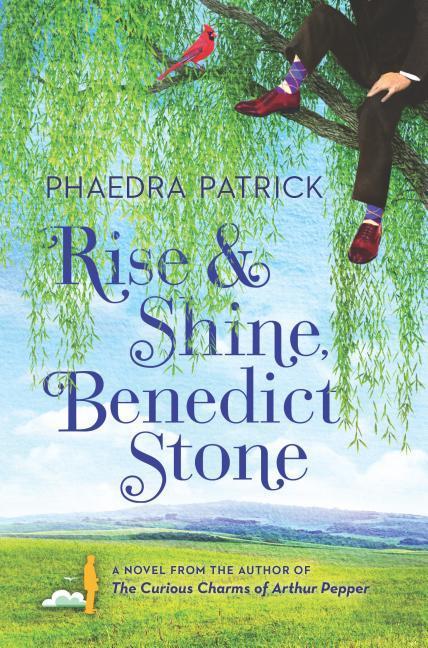 Vorderes Coverbild Rise and Shine, Benedict Stone