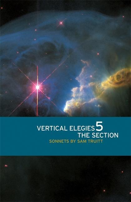 Vorderes Coverbild Vertical Elegies 5