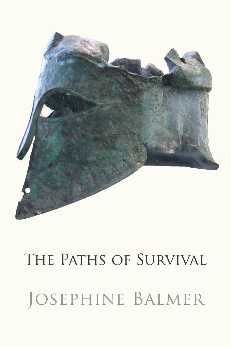 Vorderes Coverbild The Paths of Survival