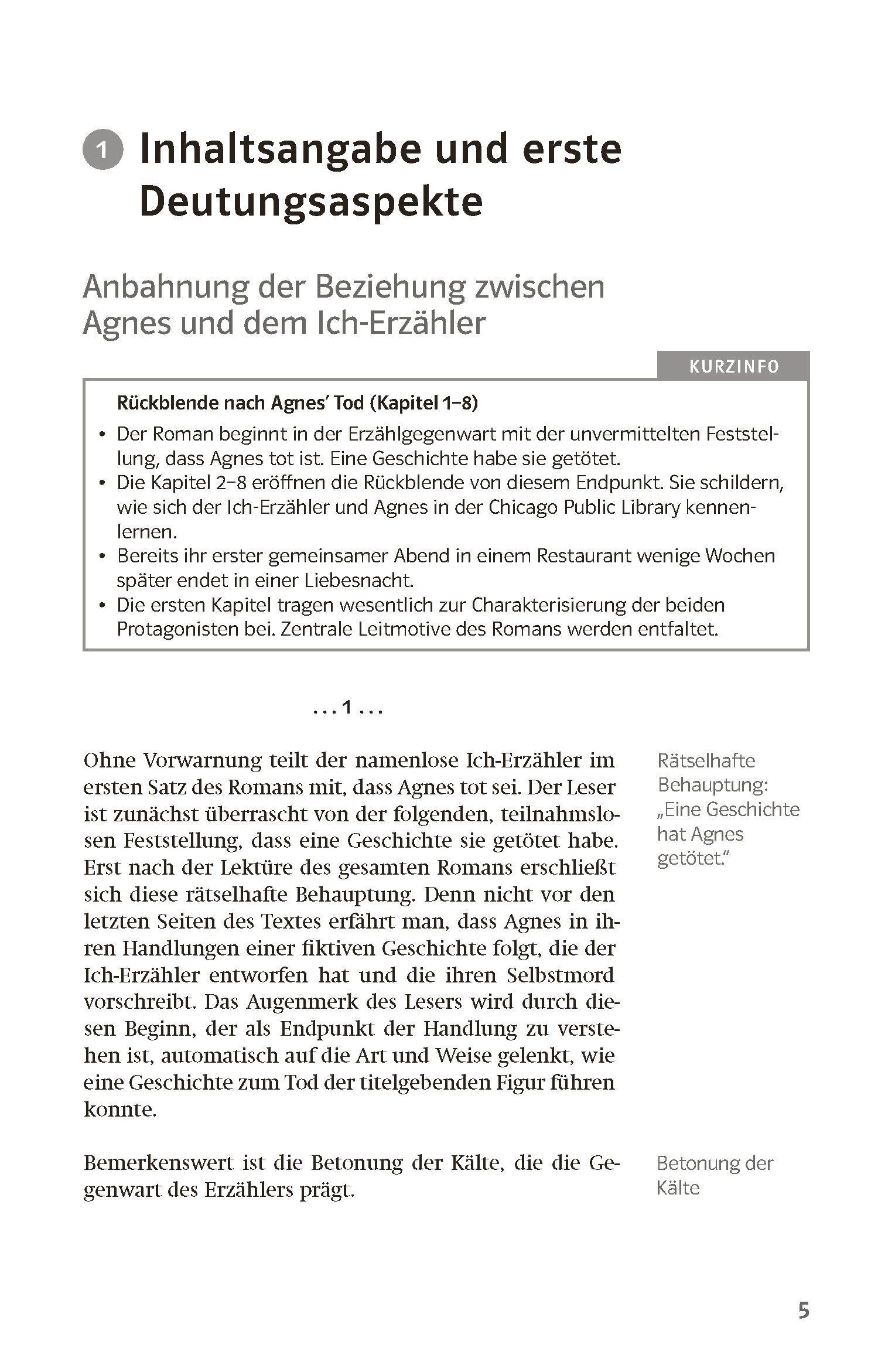 Beispielinhalt (Bild) Lektürehilfen Peter Stamm "Agnes"
