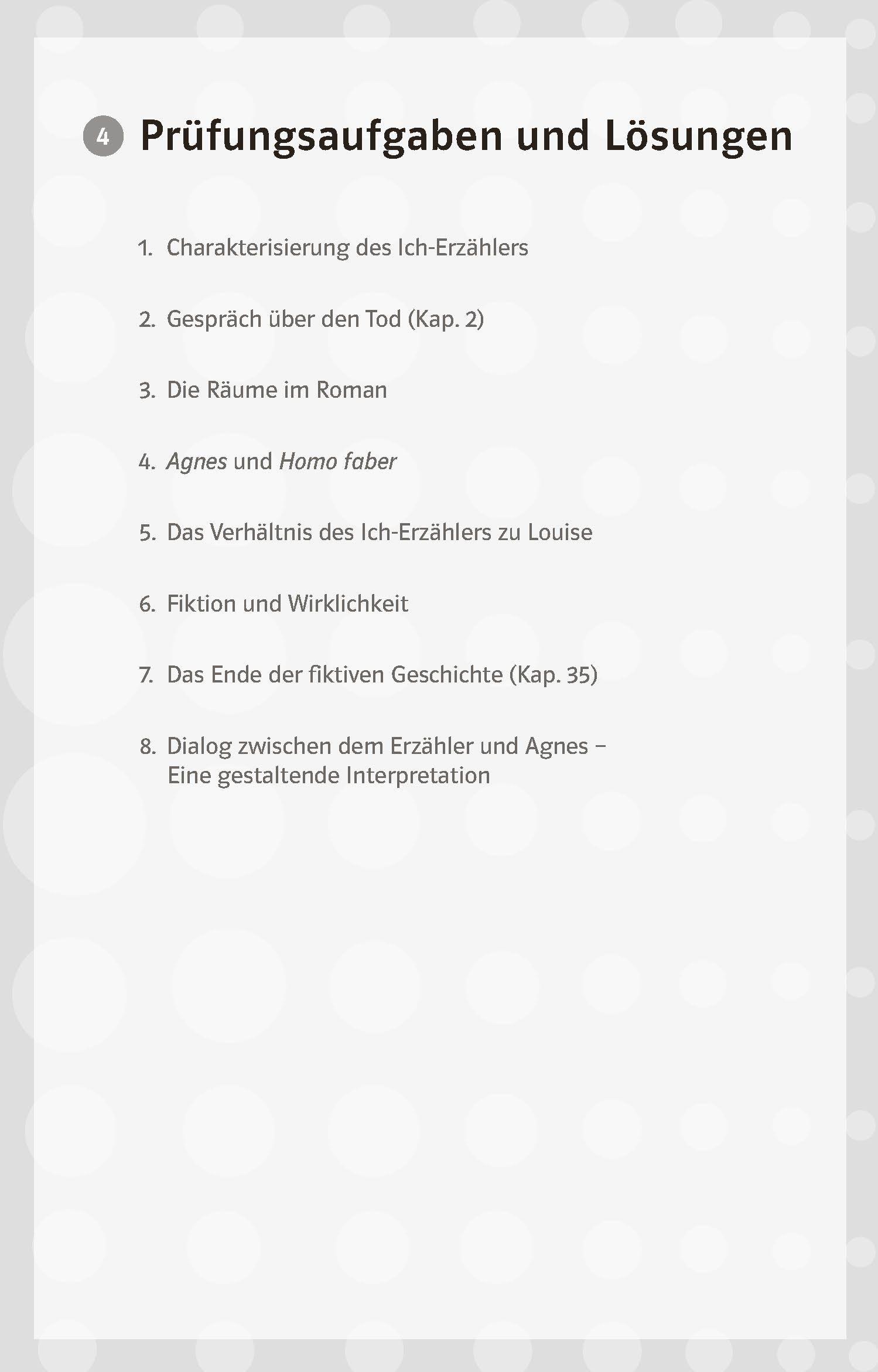 Beispielinhalt (Bild) Lektürehilfen Peter Stamm "Agnes"