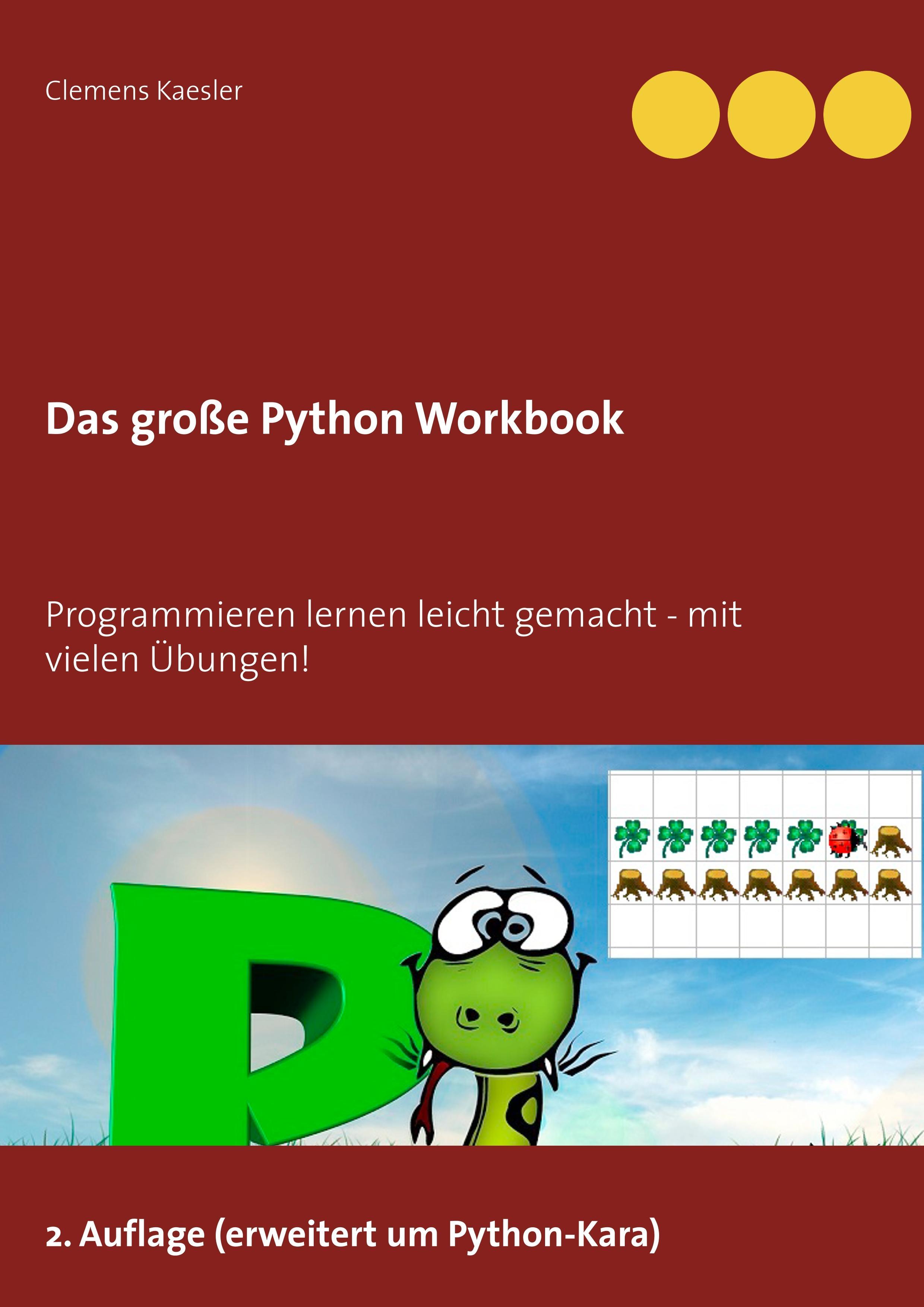 Vorderes Coverbild Das große Python Workbook