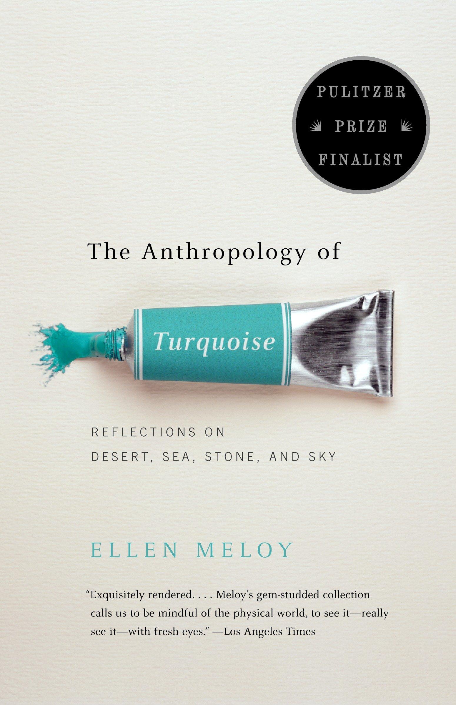 Vorderes Coverbild The Anthropology of Turquoise
