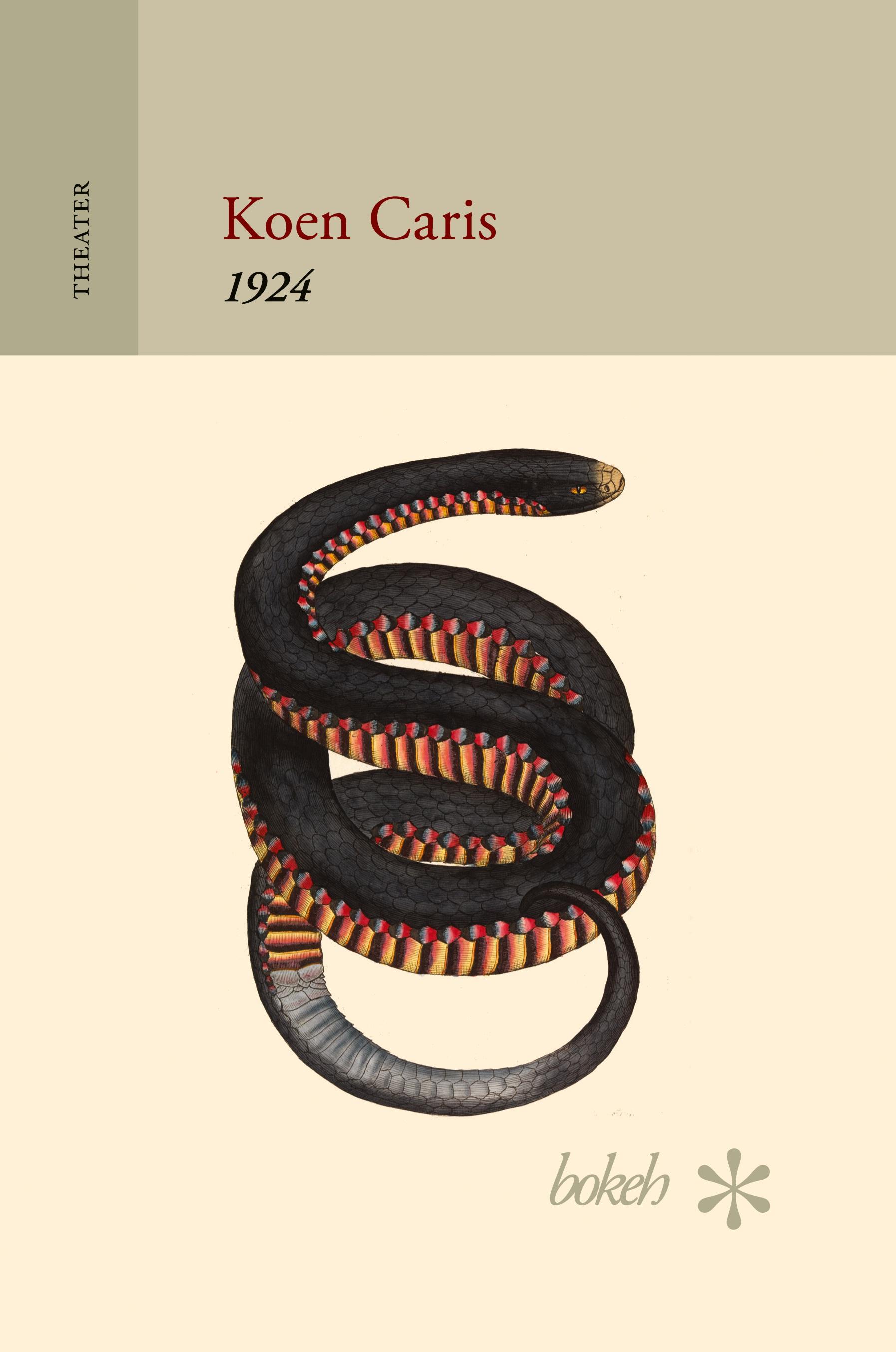 Vorderes Coverbild 1924