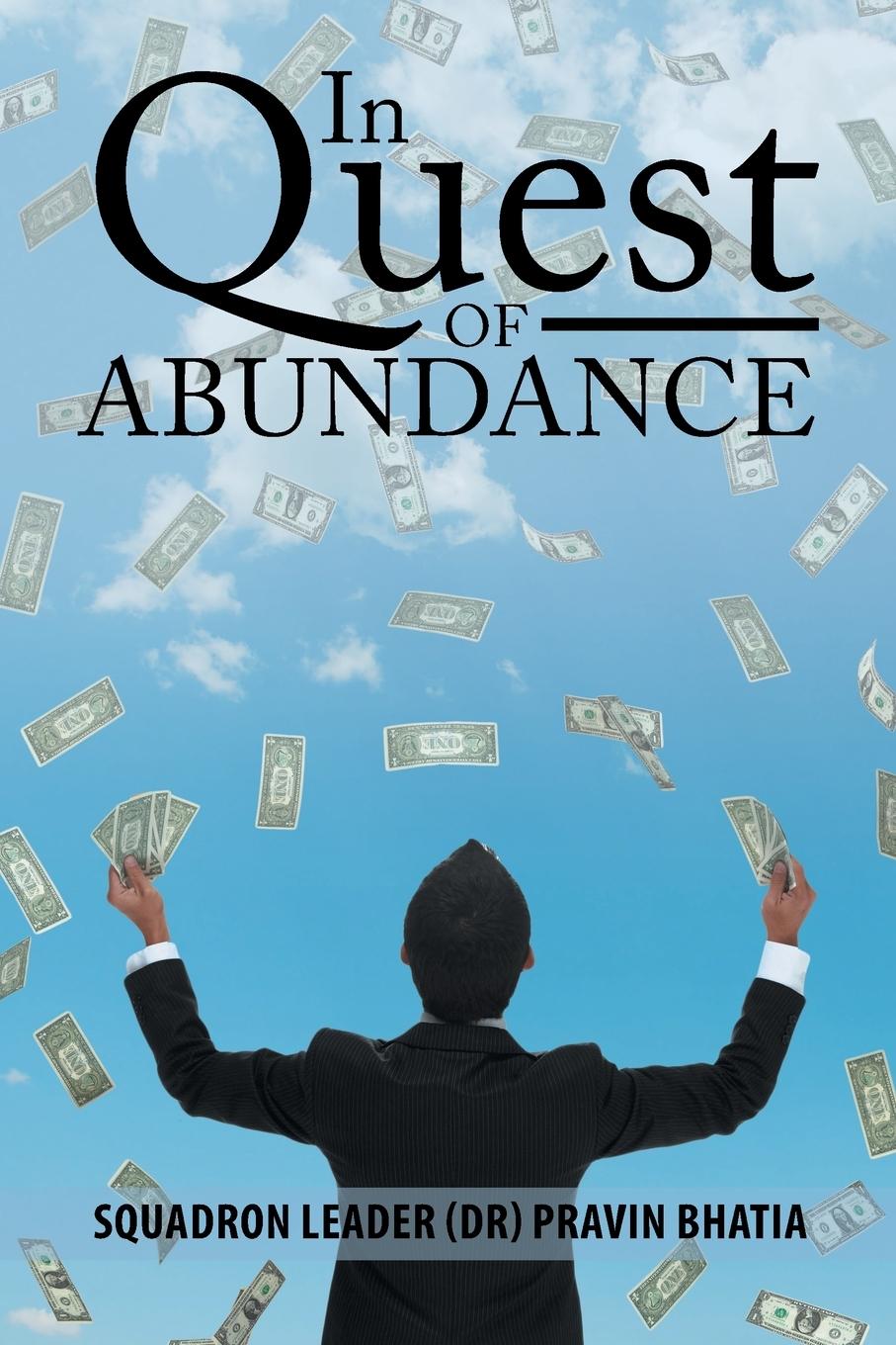 Vorderes Coverbild In Quest of Abundance