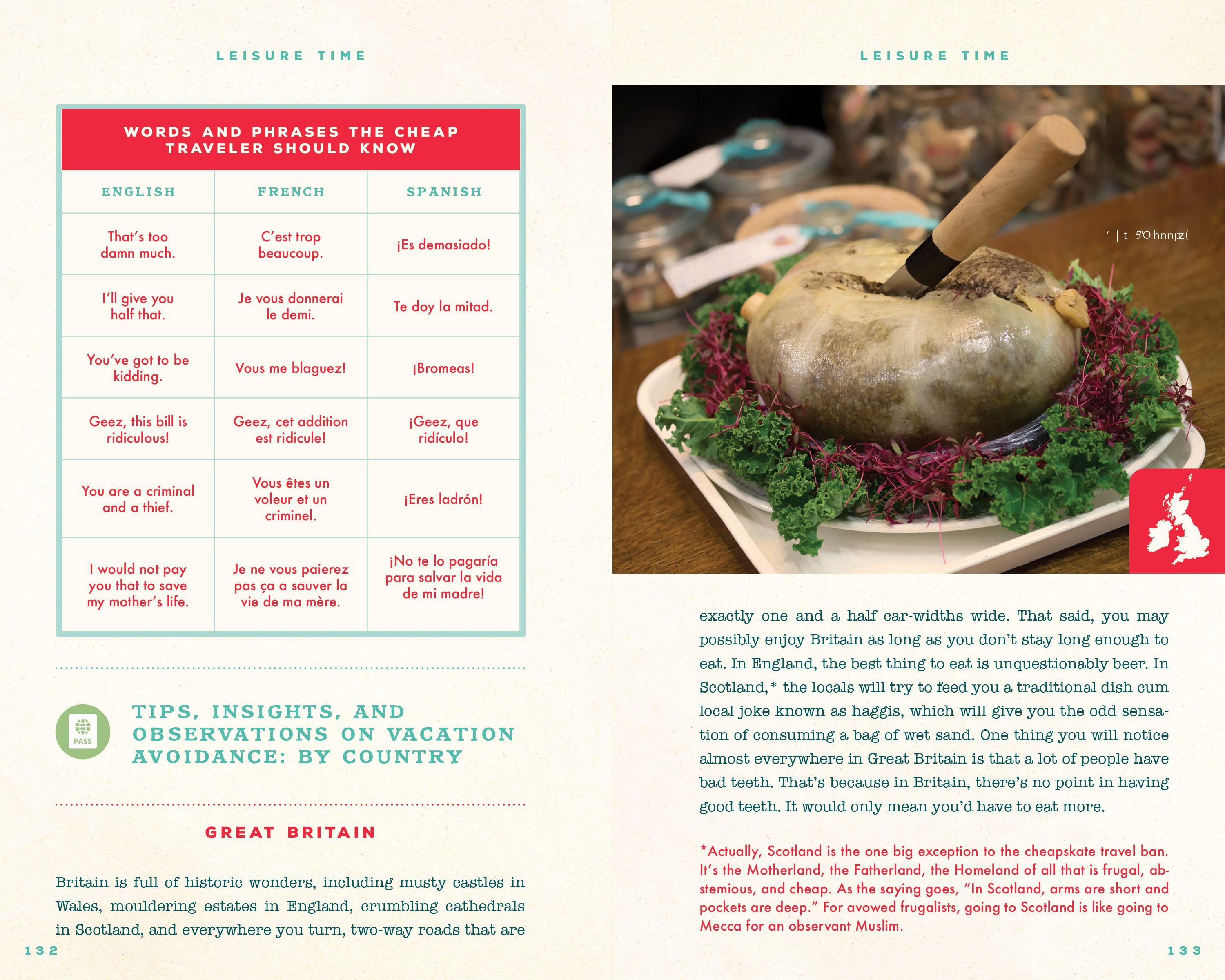 Beispielinhalt (Bild) The Cheapskate's Handbook