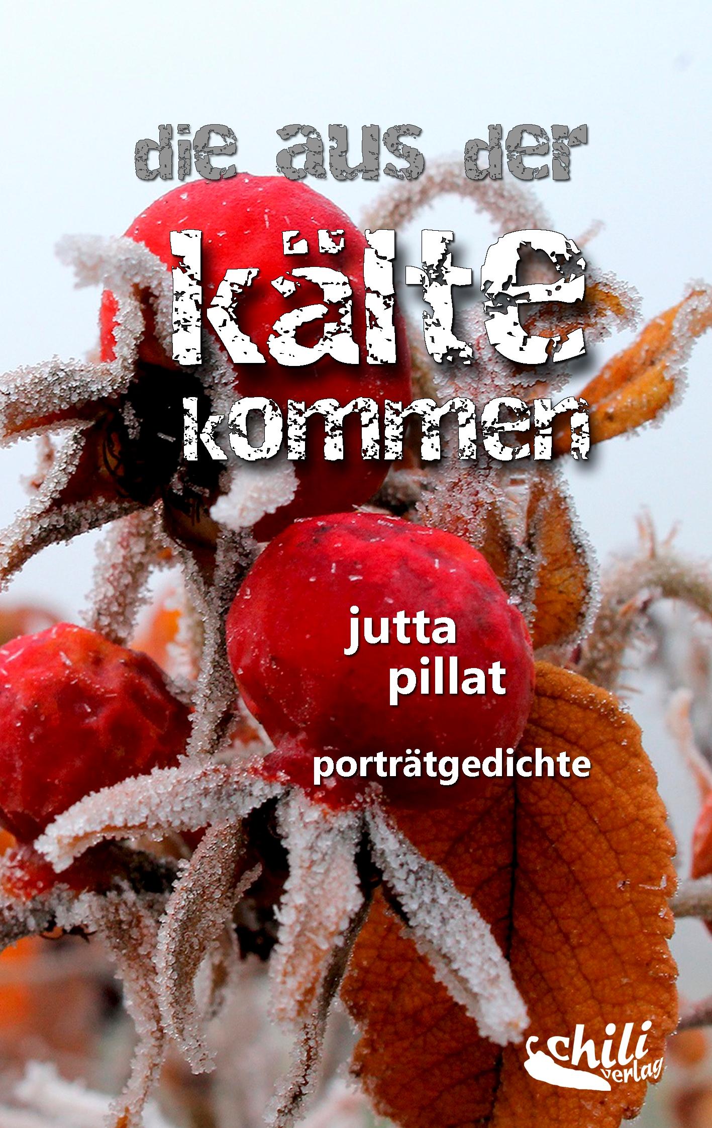 Vorderes Coverbild die aus der kälte kommen