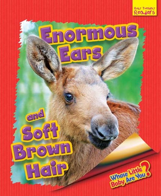 Vorderes Coverbild Whose Little Baby Are You? Enormous Ears and Soft Brown Hair