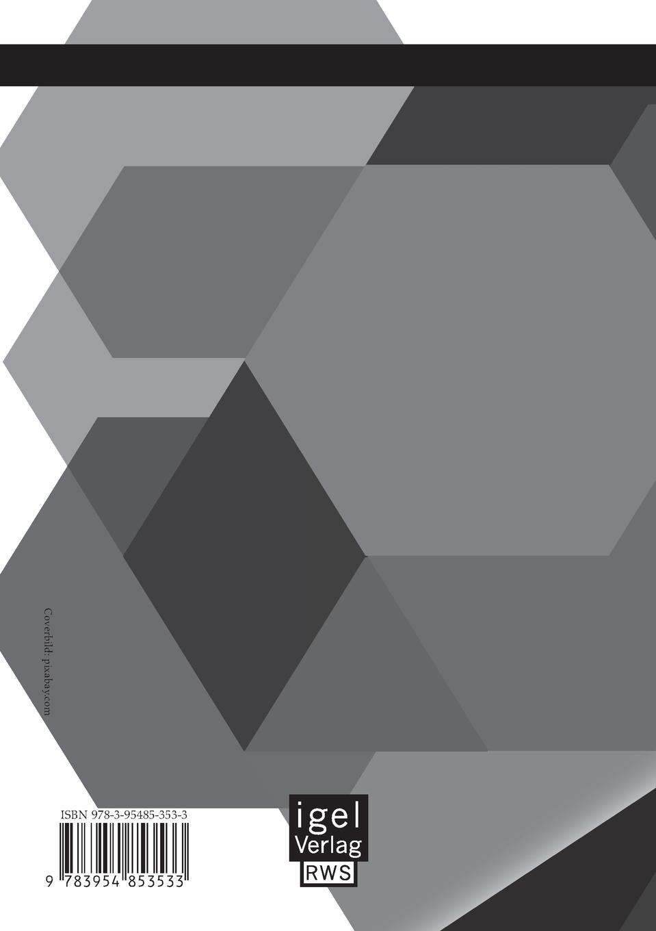 Rückseitencover Die Kraft der Informationsasymmetrie in großen Organisationen: Immer wieder Prinzipal und Agent