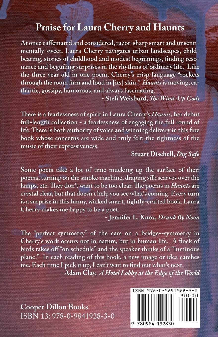 Rückseitencover Haunts