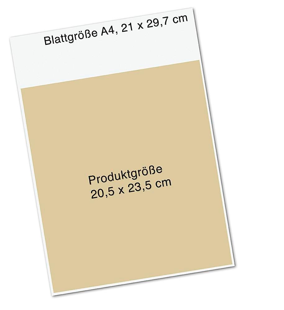 Beispielinhalt (Bild) Der Wunschfisch