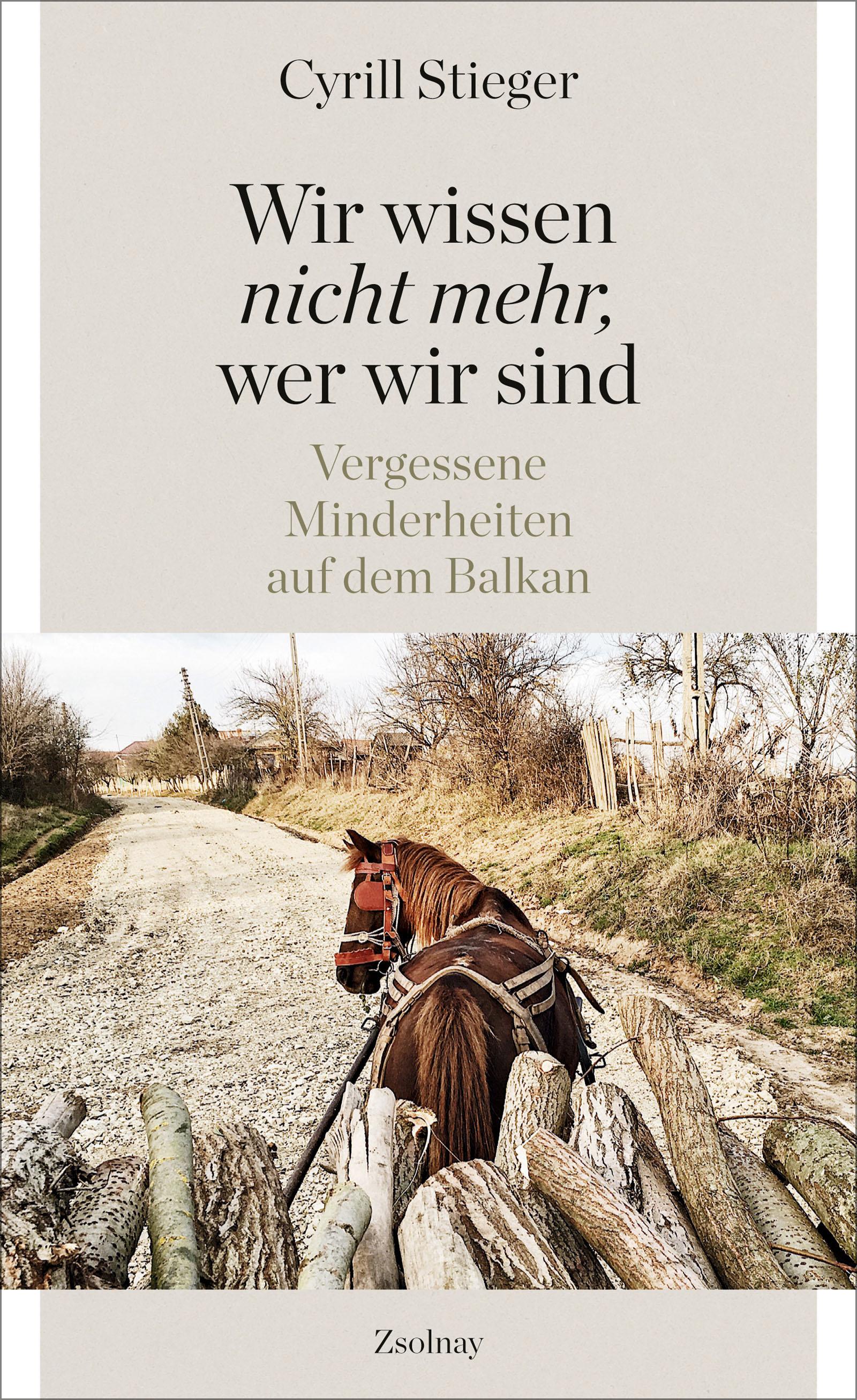 Vorderes Coverbild "Wir wissen nicht mehr, wer wir sind"