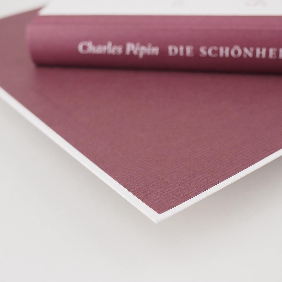 Beispielinhalt (Bild) Die Schönheit des Scheiterns