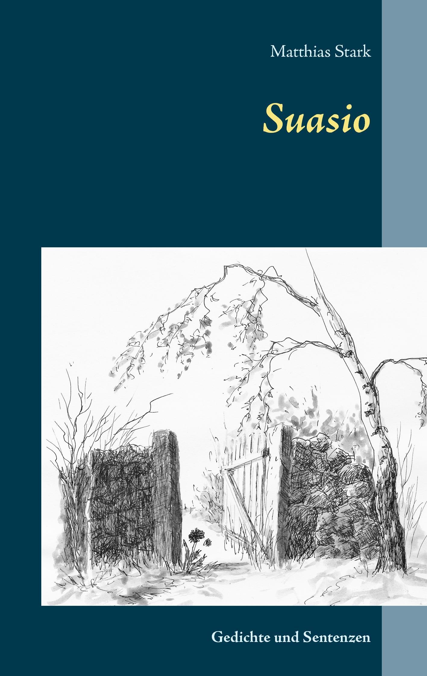 Vorderes Coverbild Suasio