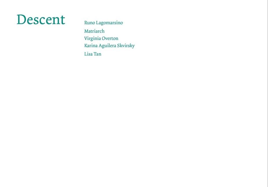 Vorderes Coverbild Descent