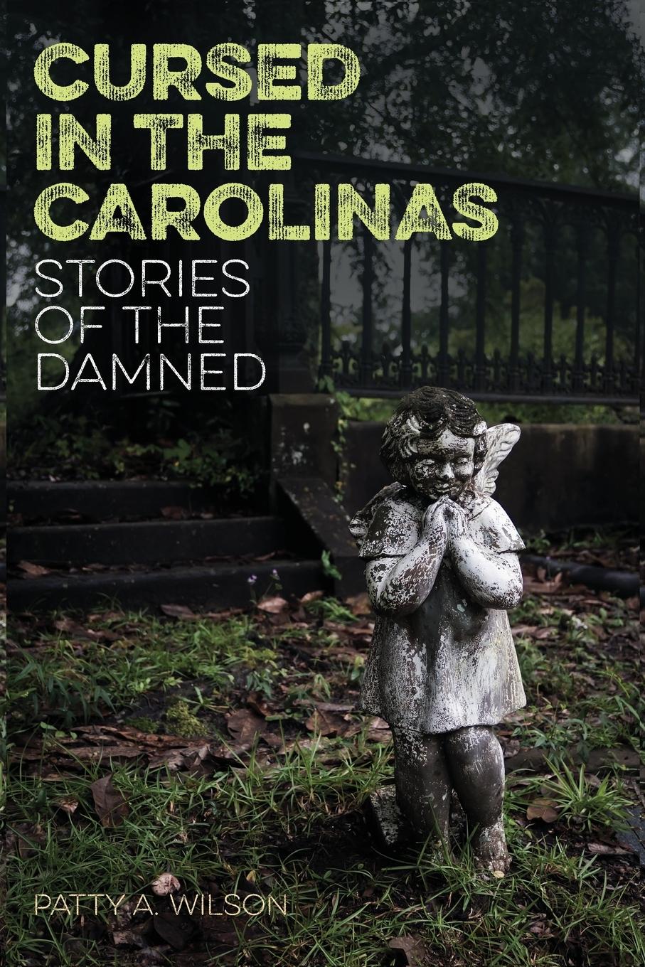Vorderes Coverbild Cursed in the Carolinas