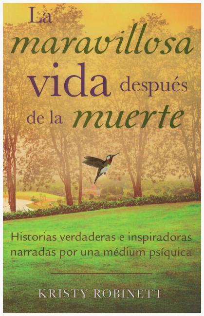 Vorderes Coverbild Maravillosa Vida Despues de La Muerte: It's a Wonderful Afterlife English