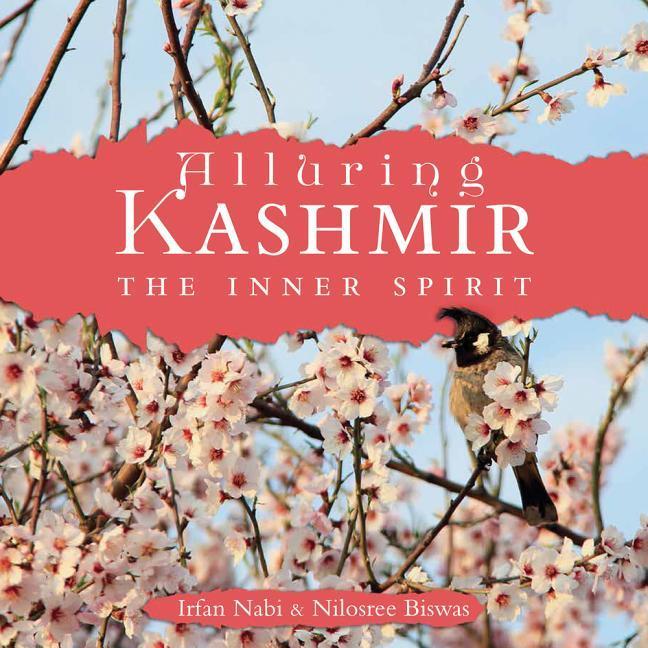 Vorderes Coverbild Alluring Kashmir