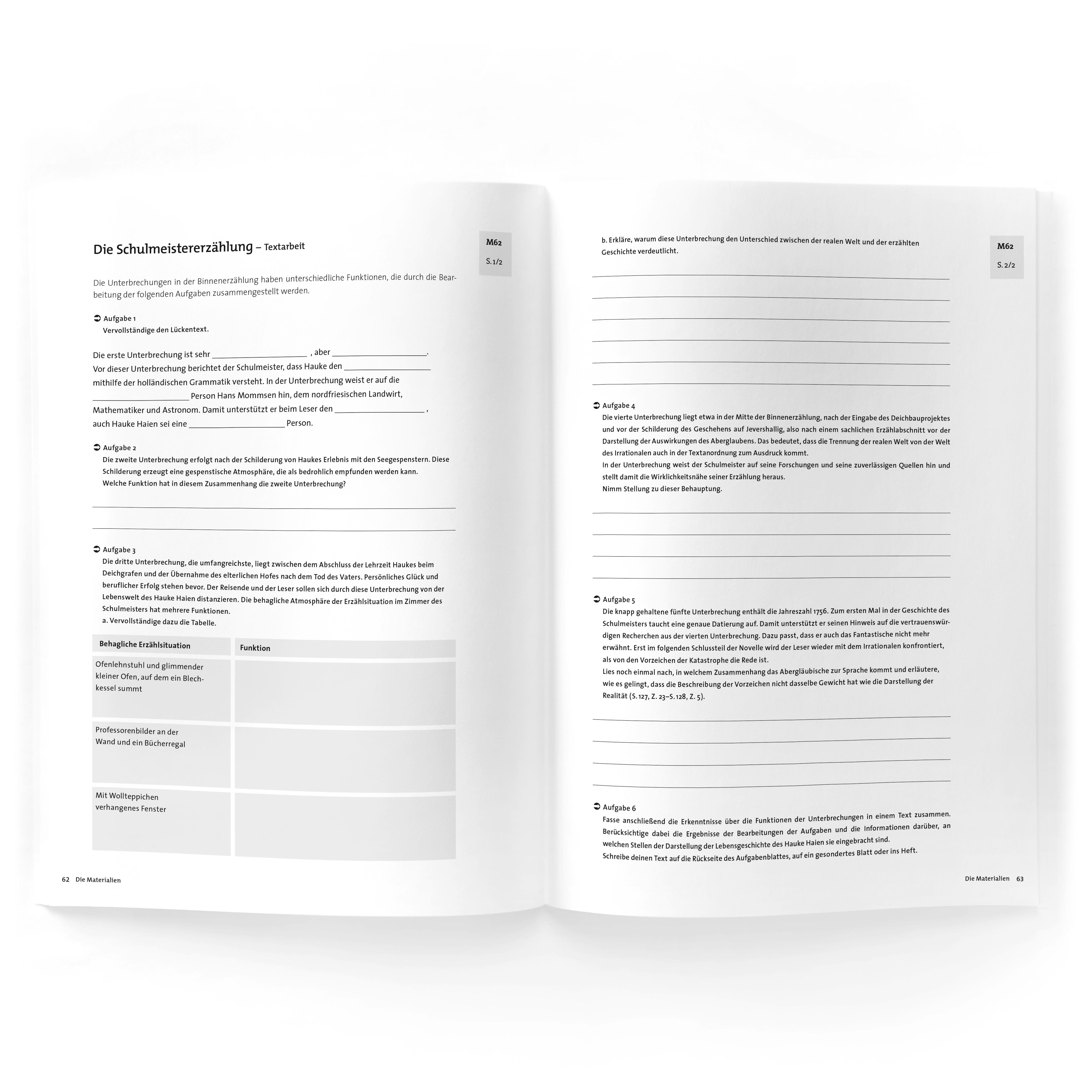 Beispielinhalt (Bild) Der Schimmelreiter, Theodor Storm