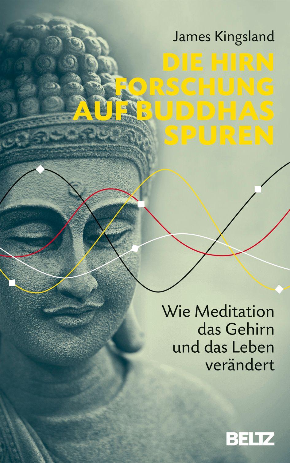 Vorderes Coverbild Die Hirnforschung auf Buddhas Spuren