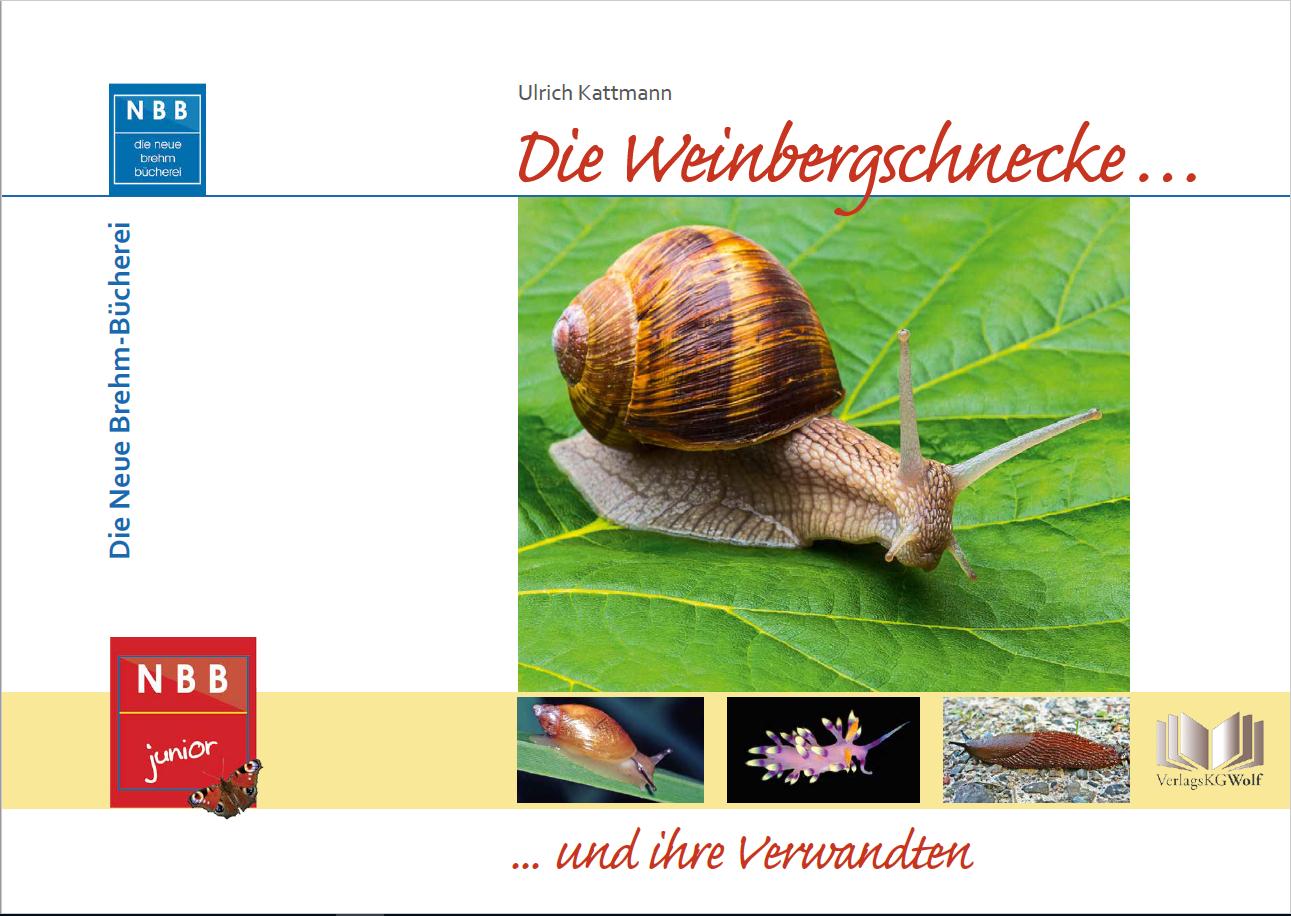 Vorderes Coverbild Die Weinbergschnecke und ihre Verwandten