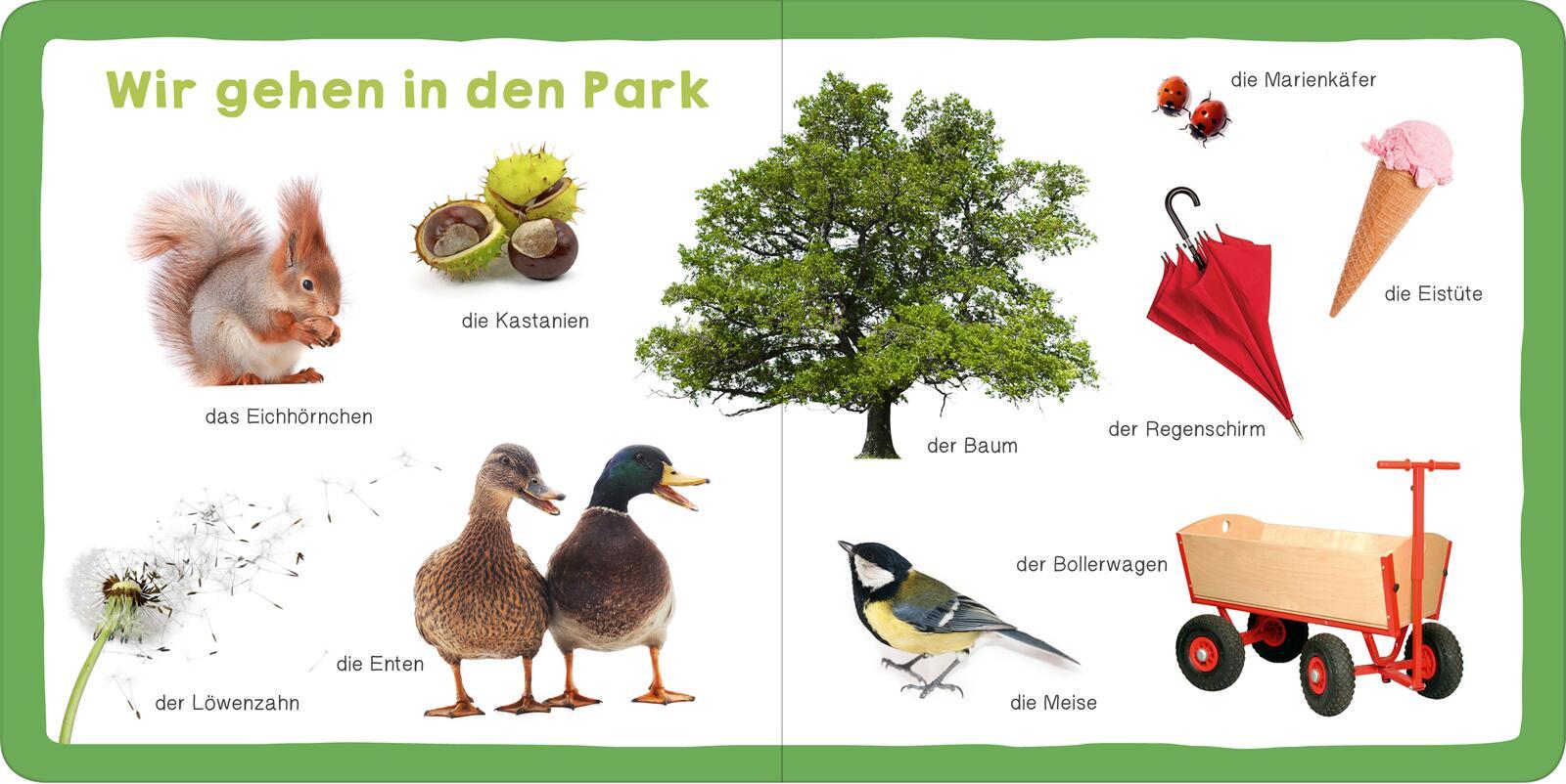 Beispielinhalt (Bild) Meine ersten 100 Wörter