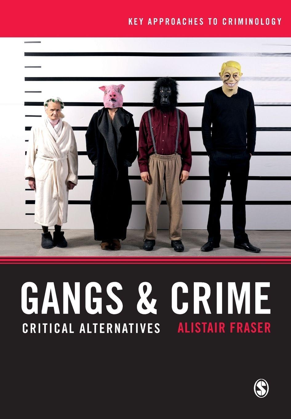 Vorderes Coverbild Gangs & Crime