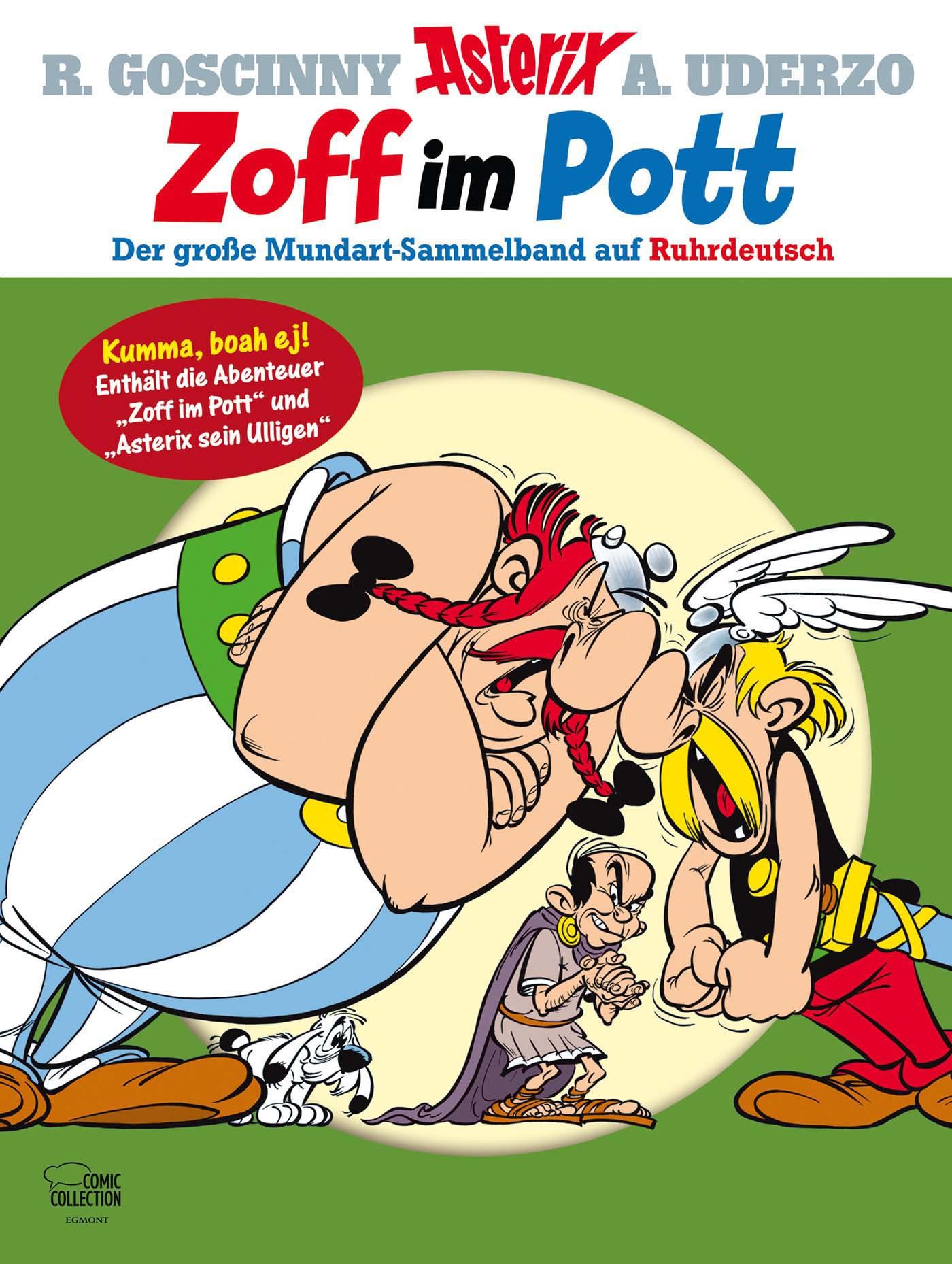 Vorderes Coverbild Zoff im Pott