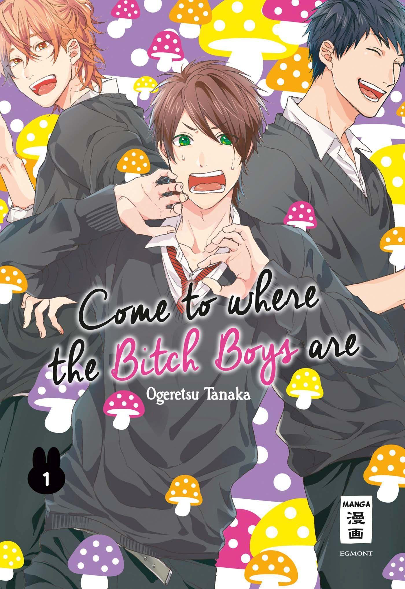 Vorderes Coverbild Come to where the Bitch Boys are 01