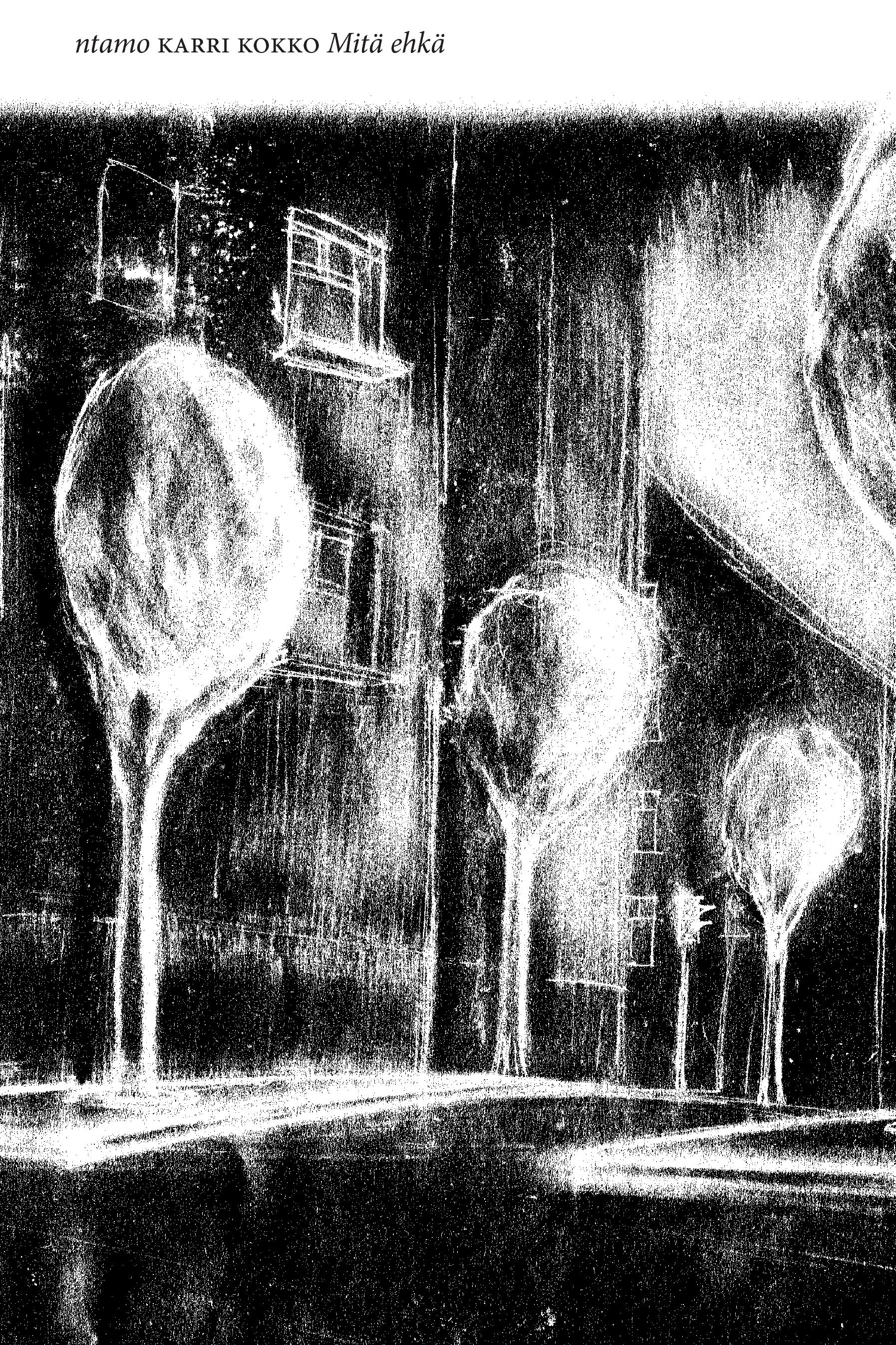 Vorderes Coverbild Mitä ehkä