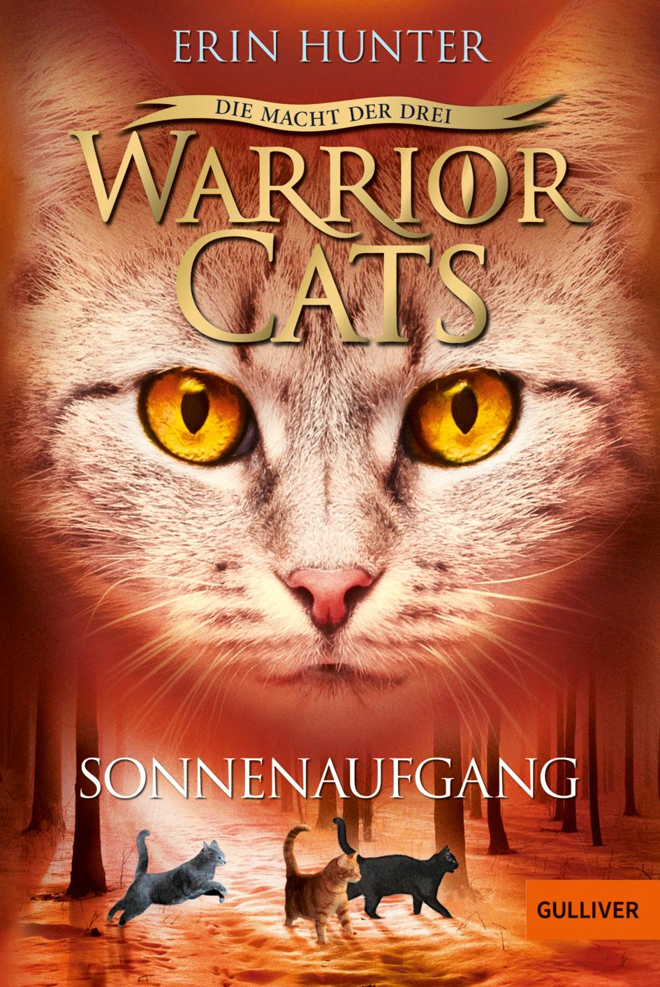Vorderes Coverbild Warrior Cats Staffel 3/06. Die Macht der drei. Sonnenaufgang