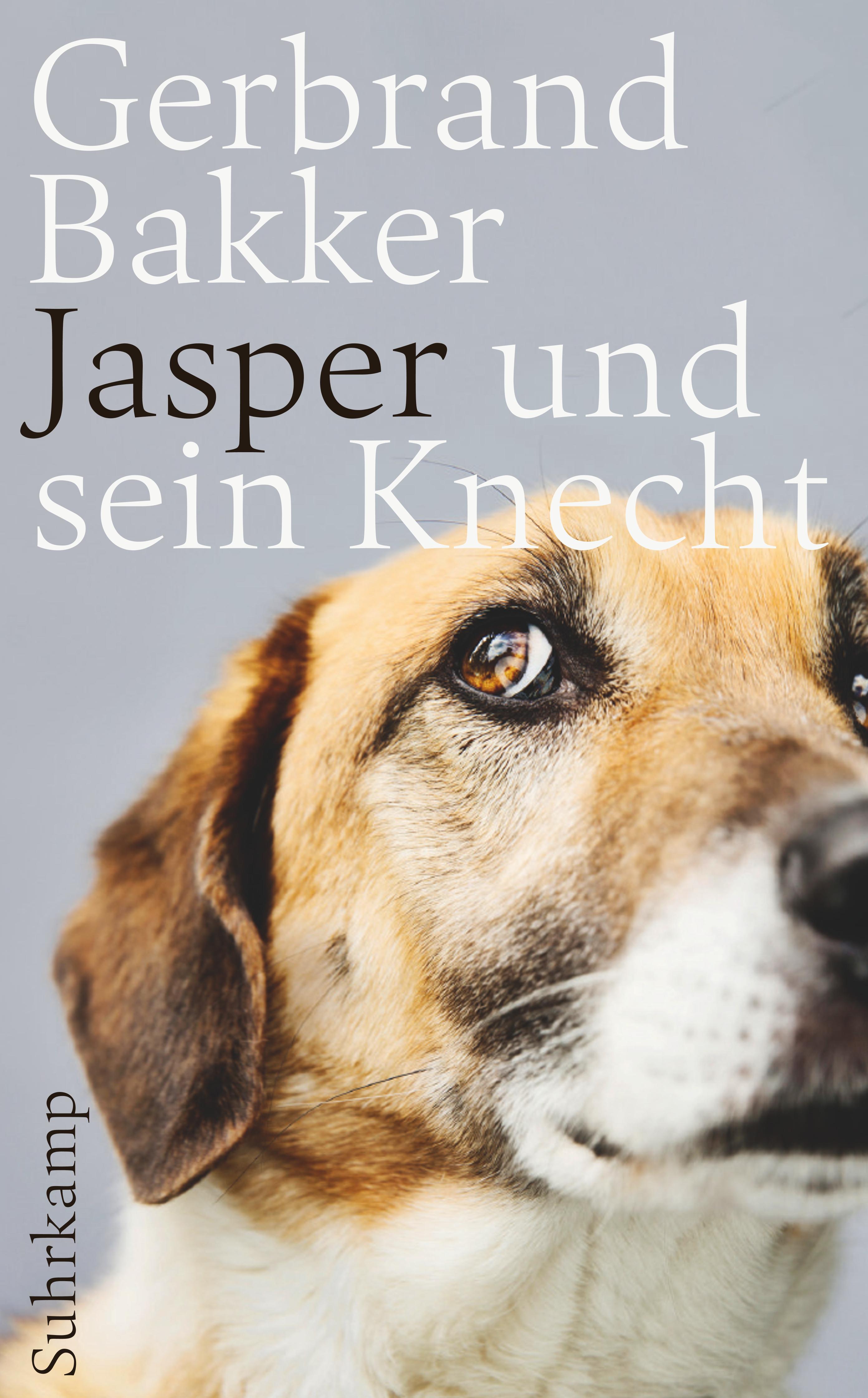 Vorderes Coverbild Jasper und sein Knecht