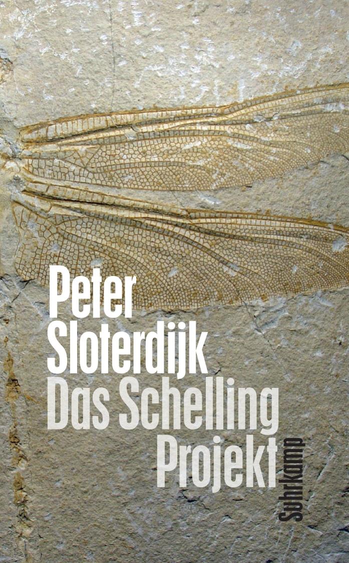 Vorderes Coverbild Das Schelling-Projekt